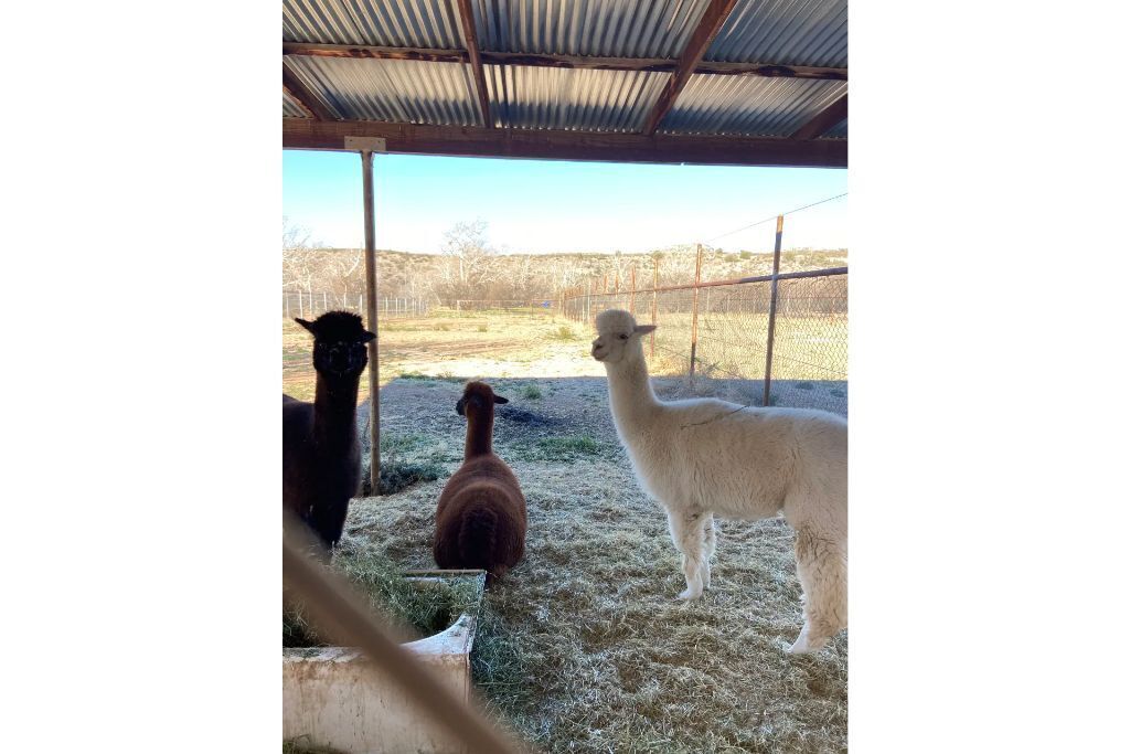 Beaver Creek Oasis Travel Trailer