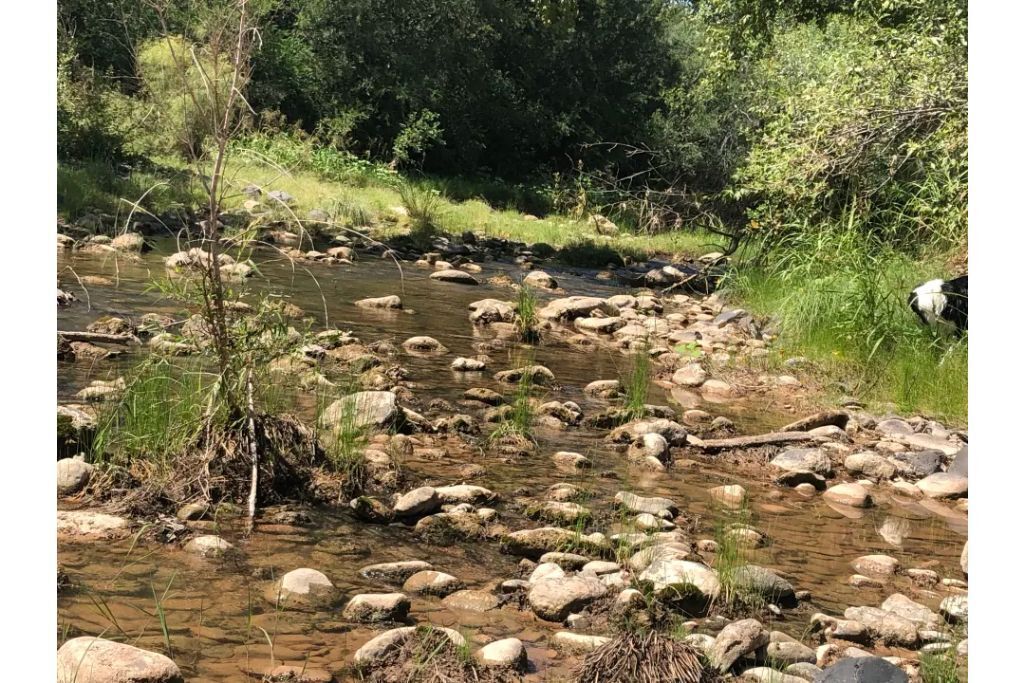 Beaver Creek Oasis Travel Trailer