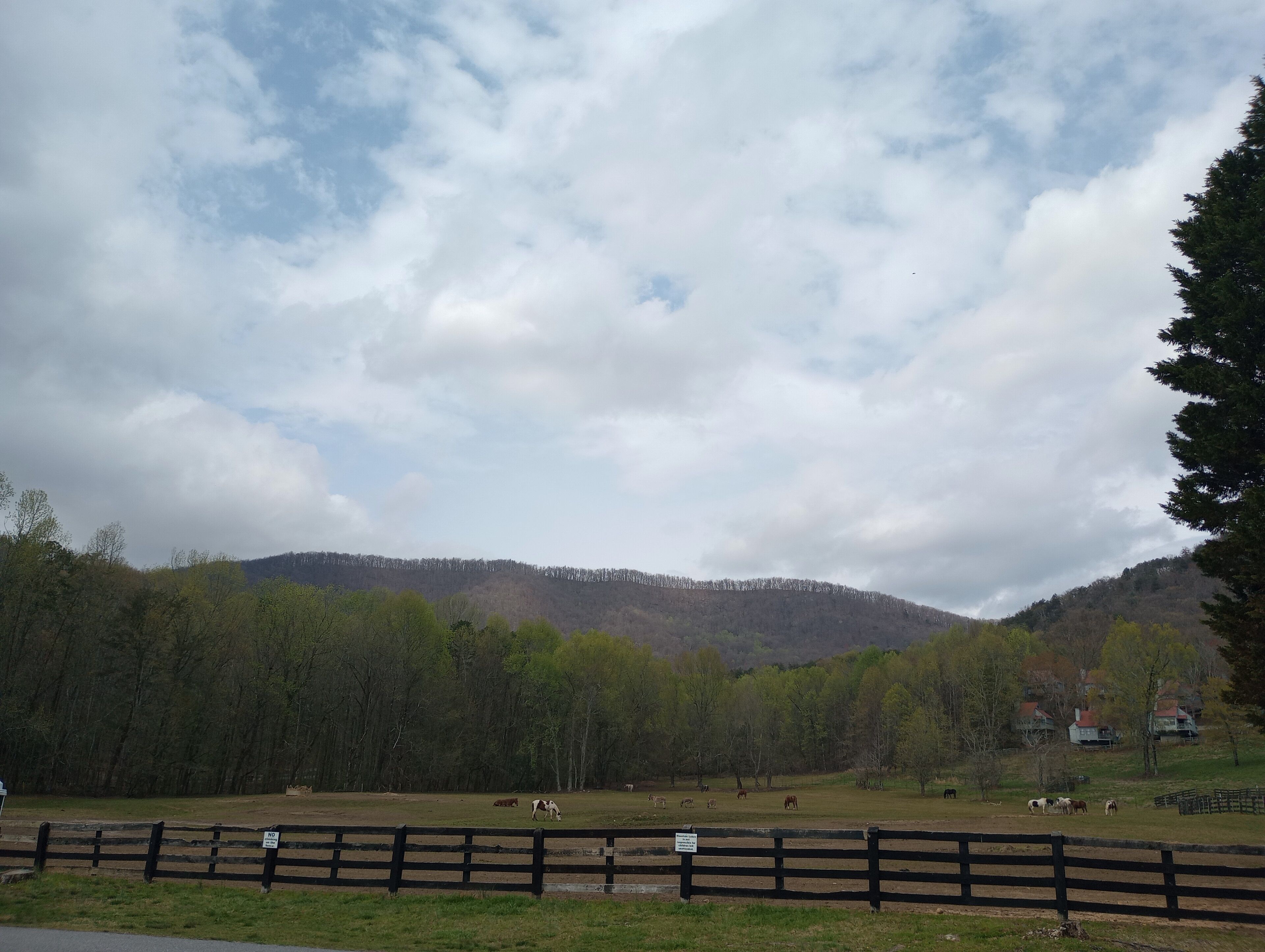 Missy's Mountain Lake Getaway