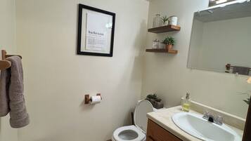 Hair dryer, towels, soap, toilet paper