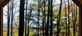 Tiny Cabin in the Woods