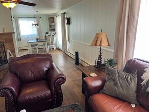 Smart TV, chimenea, reproductor de DVD y libros 