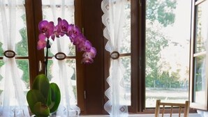 A dining area with a round wooden table set for two, chairs, and a potted plant with purple flowers. - Les Rosiers - ONJON - Gîte (ONJON)