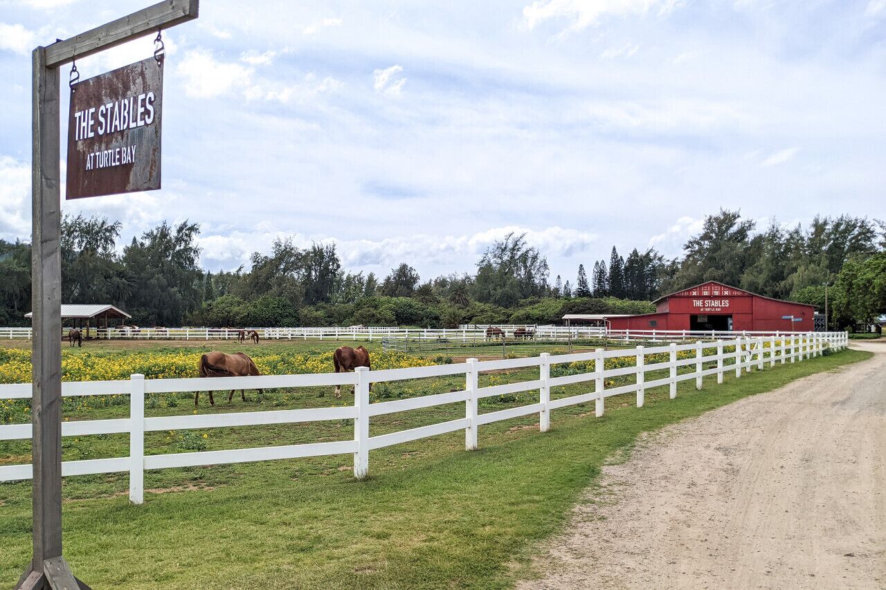 Señal que dice "The Stables at Turtle Bay", con una cerca blanca y caballos al fondo.