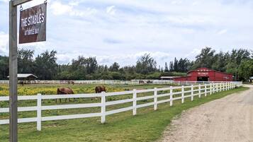 Señal que dice "The Stables at Turtle Bay", con una cerca blanca y caballos al fondo.