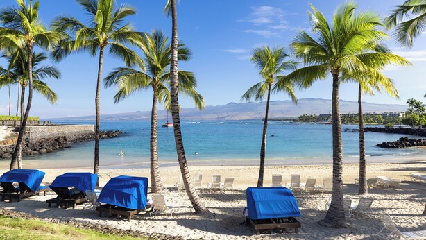 A beach with palm trees, covered lounge chairs, and a clear view of the ocean. - Luxury Living with Pool Access (Kamuela)