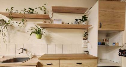 BeiHe Village BnB
