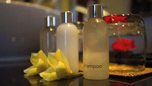 A bathroom with a mirror, a bottle of shampoo, and a decorative glass container with a red rose.