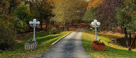 Terrain de lâhĂ©bergement