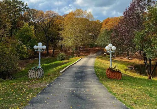 Huckleberry & Hucklebella Cabin
