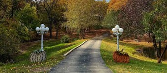 Huckleberry & Hucklebella Cabin