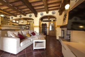 TV, fireplace - Villa Micol by MMega (Camaiore)