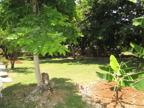 Exterior - COZY'S BANDB (Runaway Bay)