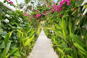 Property grounds - Lovely 1BR Villa In Legian (Bali)