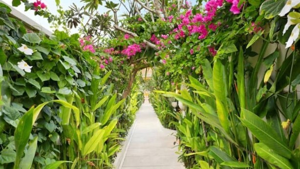 A pathway flanked by lush green foliage and vibrant pink flowers, leading to a building. - Glamour 1BR Private Villa Kuta (Bali)