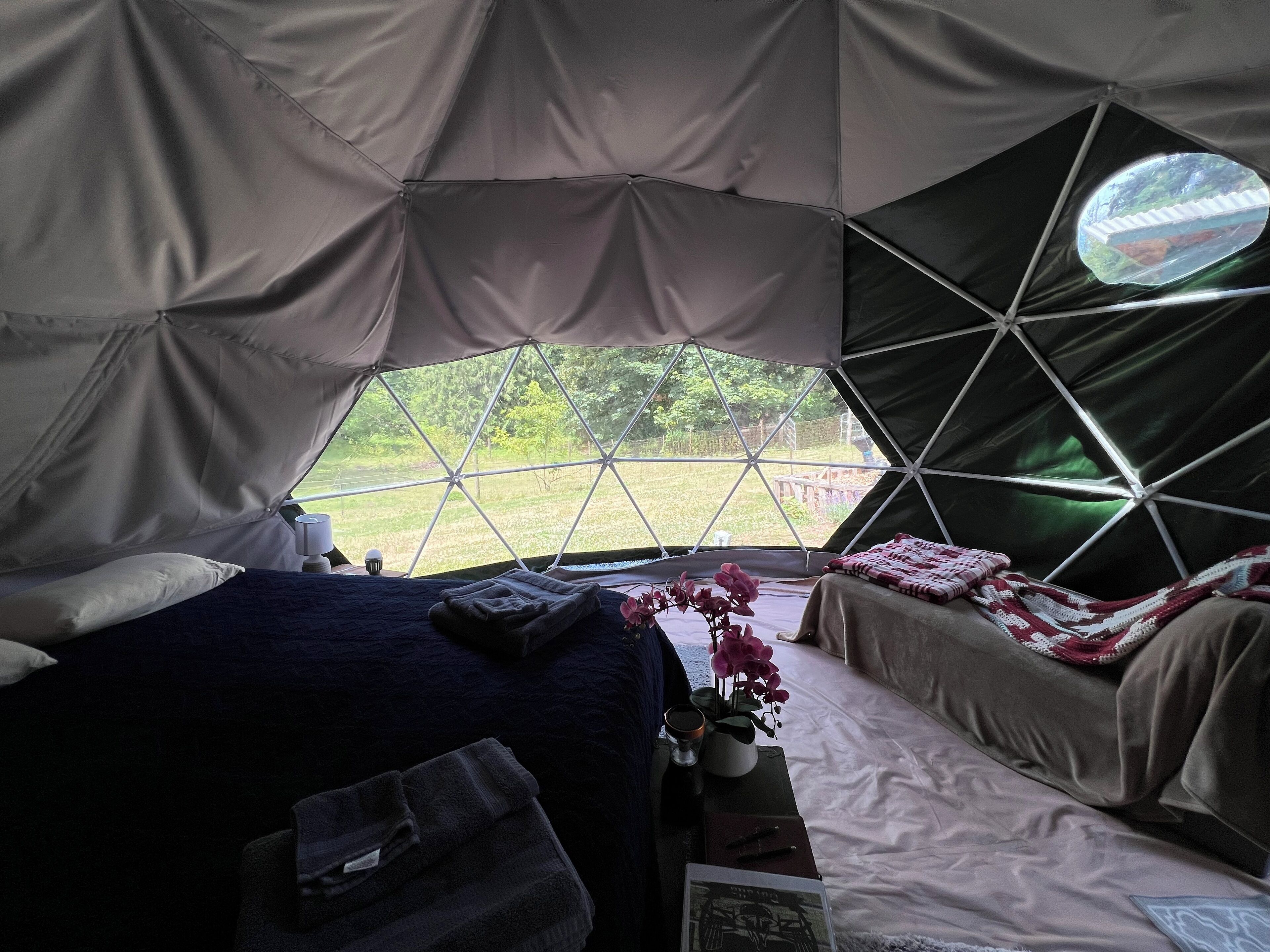 Glamping With Alpacas in an Eco-Friendly Dome Outside of Seattle