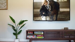 A room with a wooden entertainment center holding board games, a potted plant, and a framed picture of a person with a horse. - NEW! ARK Family Retreat w/ Game Room 3min to Ark! (Williamstown)