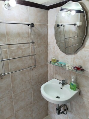 Shower, hair dryer, bidet, towels