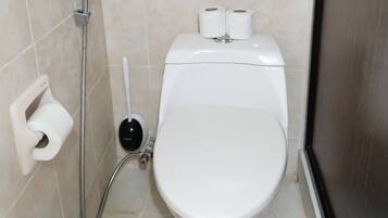 Shower, hair dryer, bidet, towels