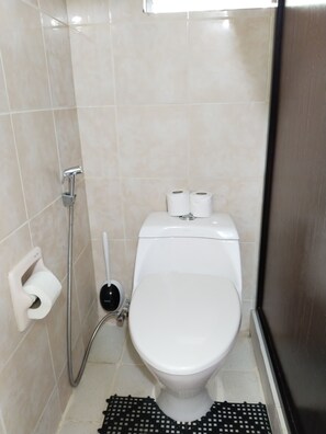 Shower, hair dryer, bidet, towels