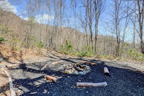 Explore the serene forest surroundings along a winding dirt path.