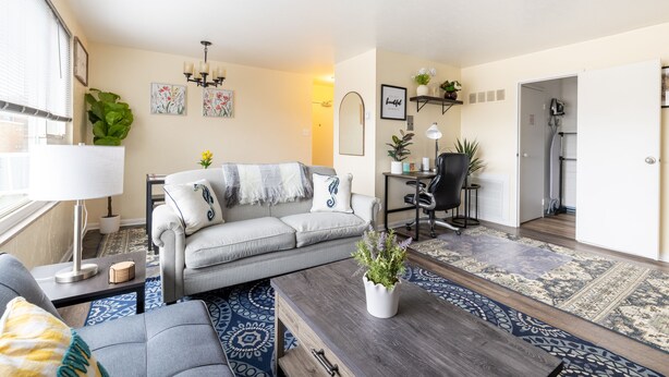 A modern living room with a grey sofa, a coffee table, and a blue patterned rug.
