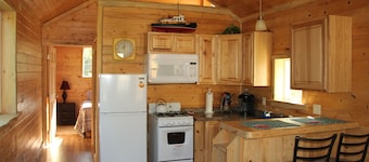 Cozy Cabin in the Big Woods of North Idaho