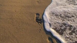 A beach with footprints leading into the water. - Studio 2 Personnes Proche Plage et Commerces - 2phoe504 (CANET PLAGE)