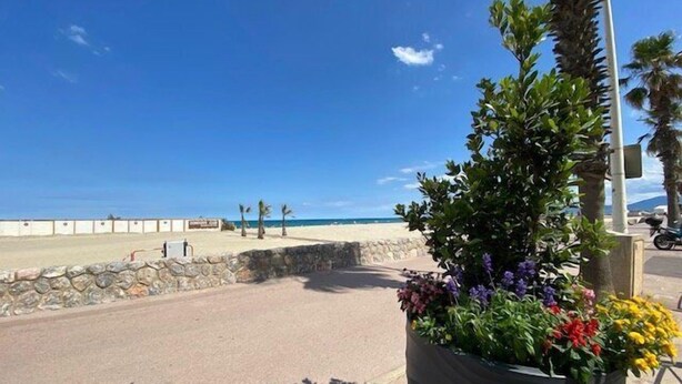 A paved walkway with a stone wall and a large planter with colorful flowers. - Studio 2 Personnes Proche Plage et Commerces - 2phoe504 (CANET PLAGE)