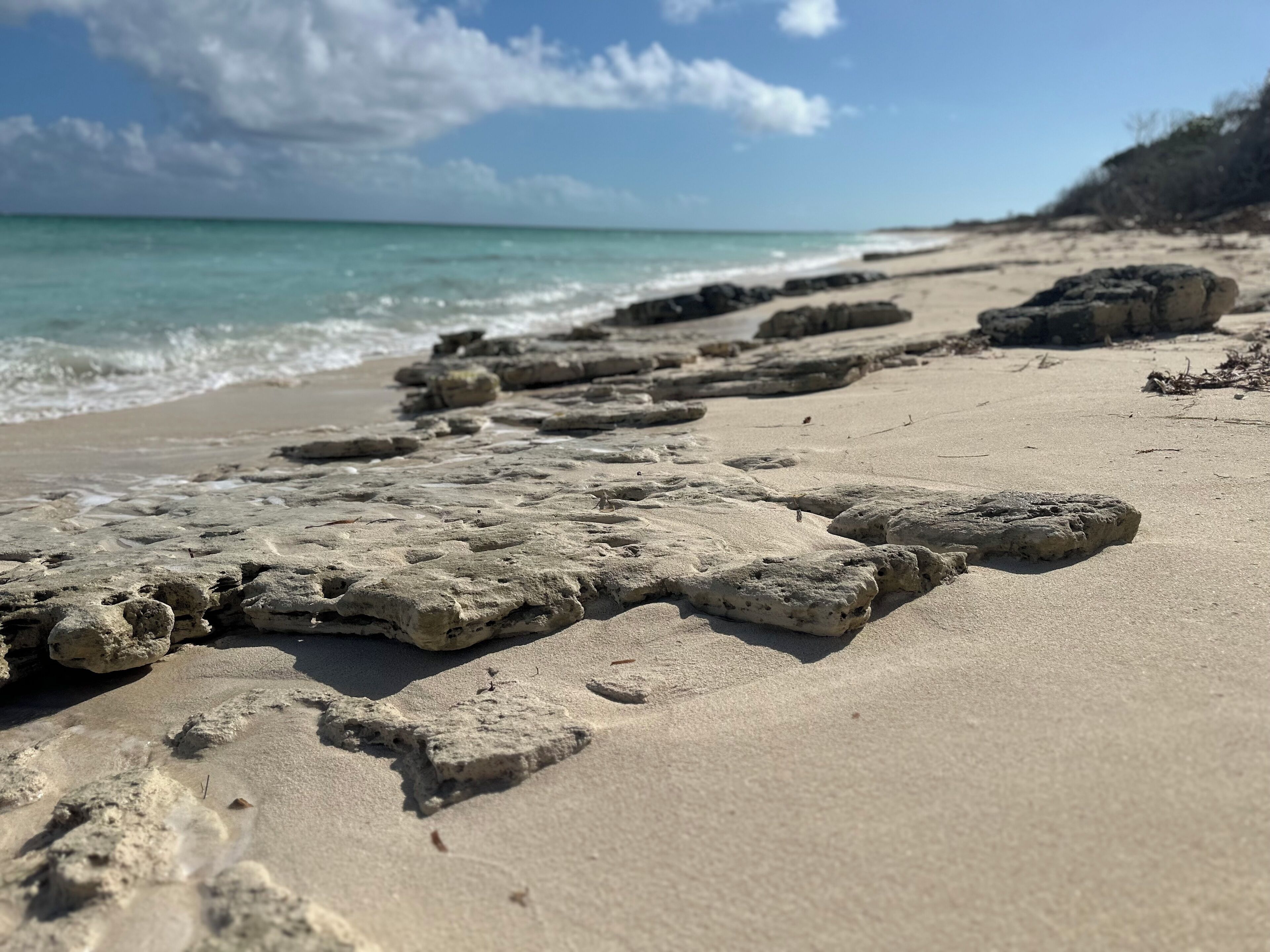 Plage, chaises longues, serviettes de plage