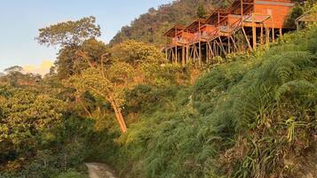A rustic wooden cabin on stilts surrounded by lush greenery and a dirt path.