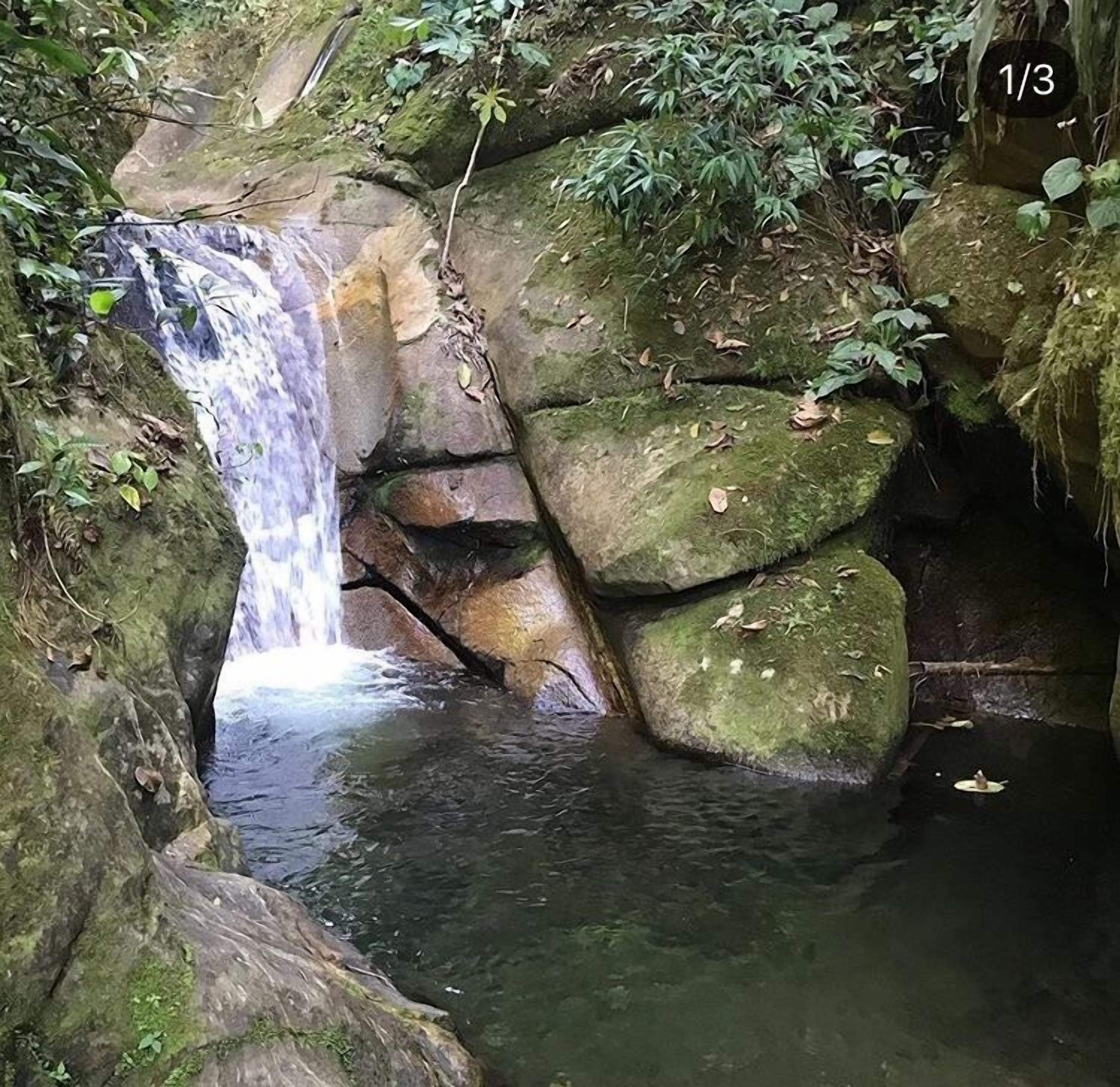 A natural waterfall cascading over moss-covered rocks into a clear pool.