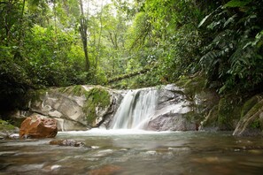 A waterfall in a forested area with rocks and dense greenery. - Loma Nevada Minca Hotel (Santa Marta)