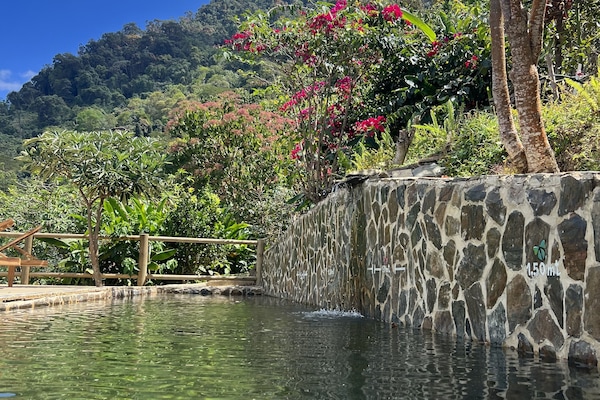 Outdoor pool, open 9:00 AM to 6:00 PM, sun loungers