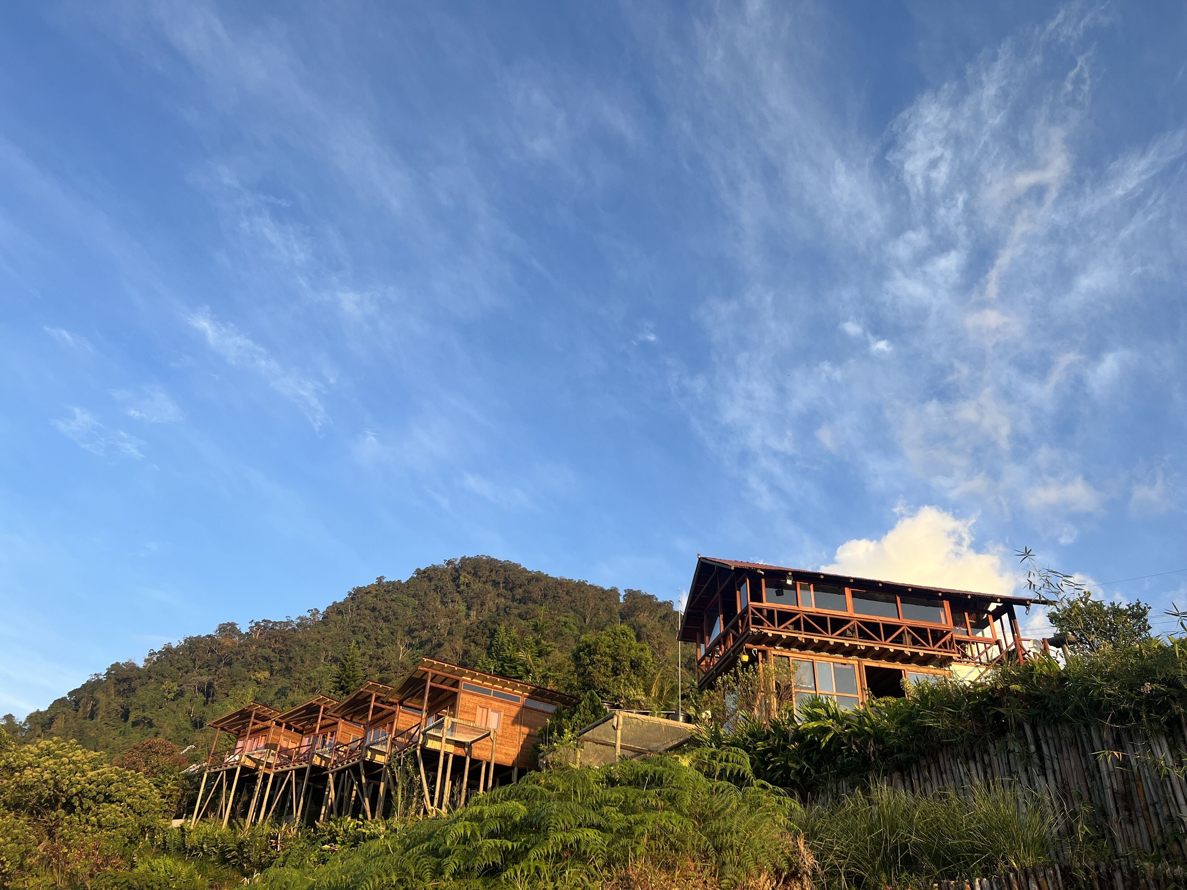 A wooden cabin with a balcony, surrounded by lush greenery and a mountain backdrop.