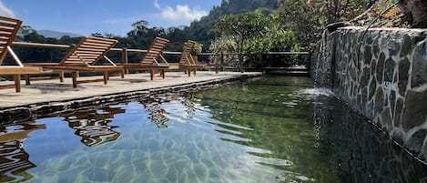 Outdoor pool, open 9:00 AM to 6:00 PM, pool loungers