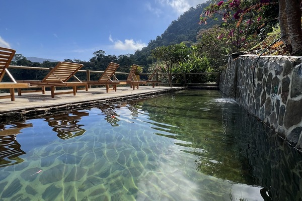 Una piscina al aire libre, sillones reclinables de piscina