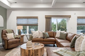 スマートテレビ、暖炉、テレビゲーム、DVD プレーヤー