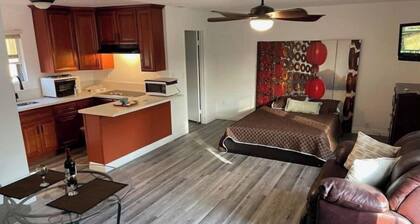 Renovated Private Studio/Suite w/Kitchenette Bathroom (Abv Grg)