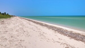 A beach with a clear sky, calm sea, and sparse vegetation. - Casa Palmares - Yucatán Home Rentals (Telchac Puerto)