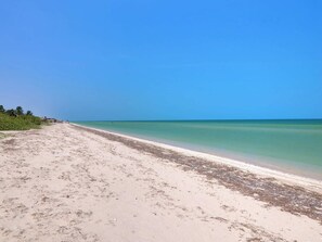Una playa con cielo despejado, mar tranquilo y vegetación escasa.