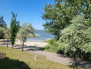 A lakeside park with a paved path, trees, and a bench.