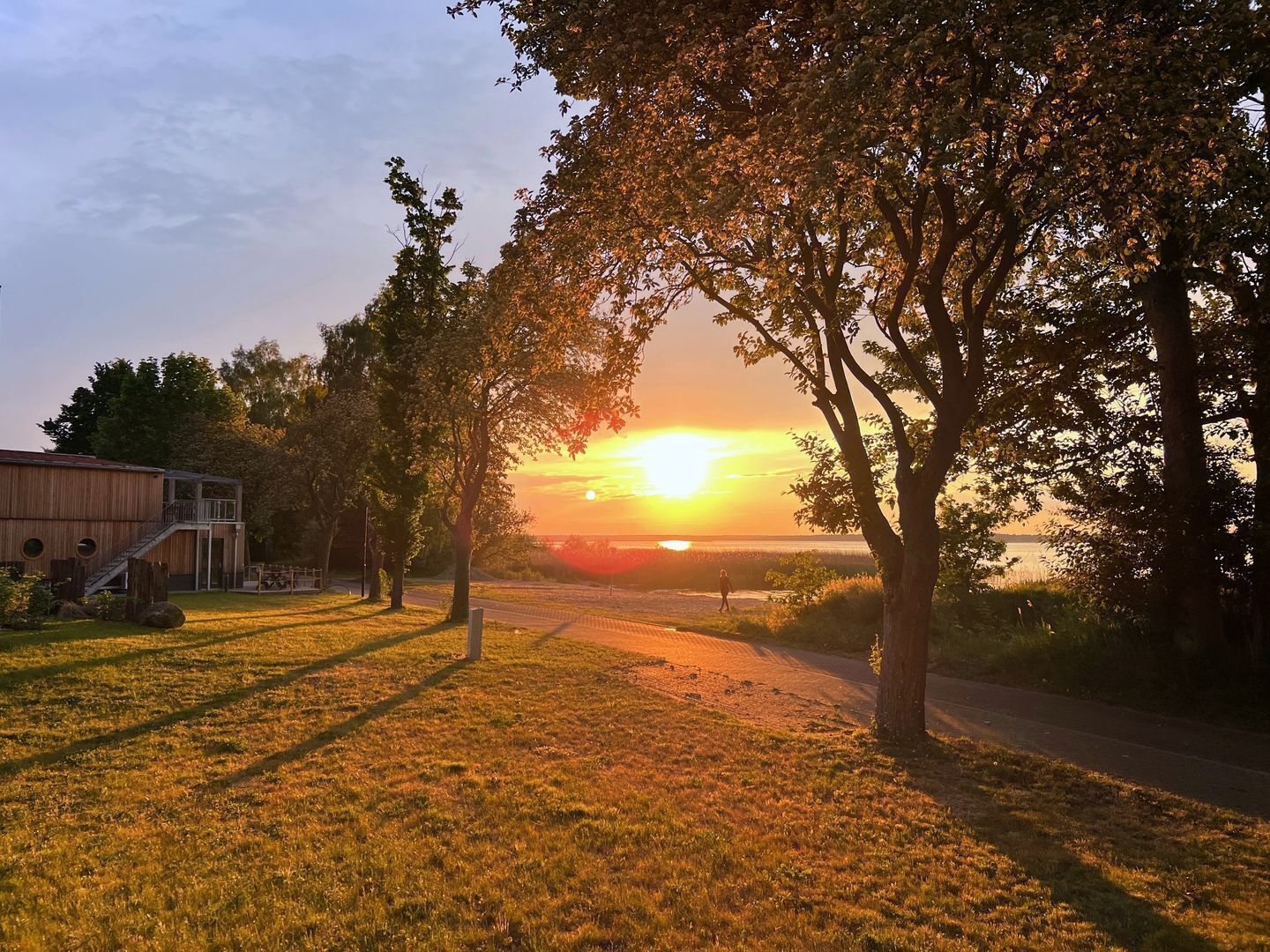A sunset view with trees and a building in the foreground.