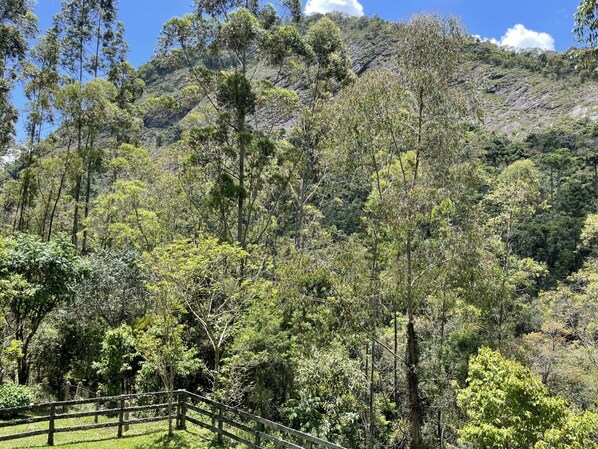 A lush, green landscape with a wooden fence and dense trees. - Casagon Alves in Gon Alves (Gonçalves)