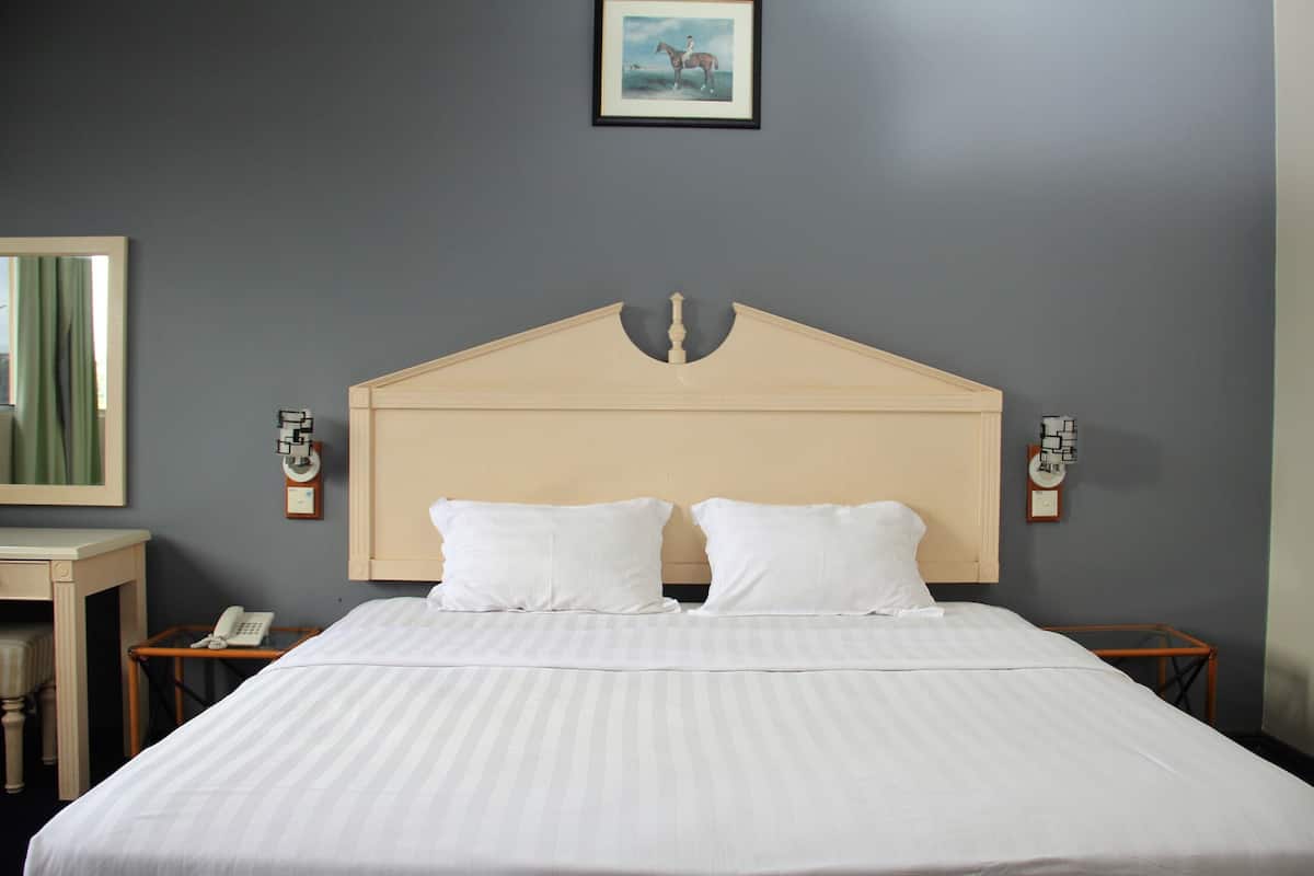Suite Deluxe | 1 habitación, minibar, escritorio y wifi gratis