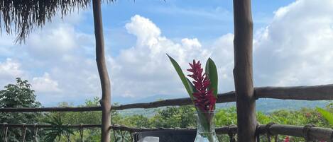 Free daily local cuisine breakfast