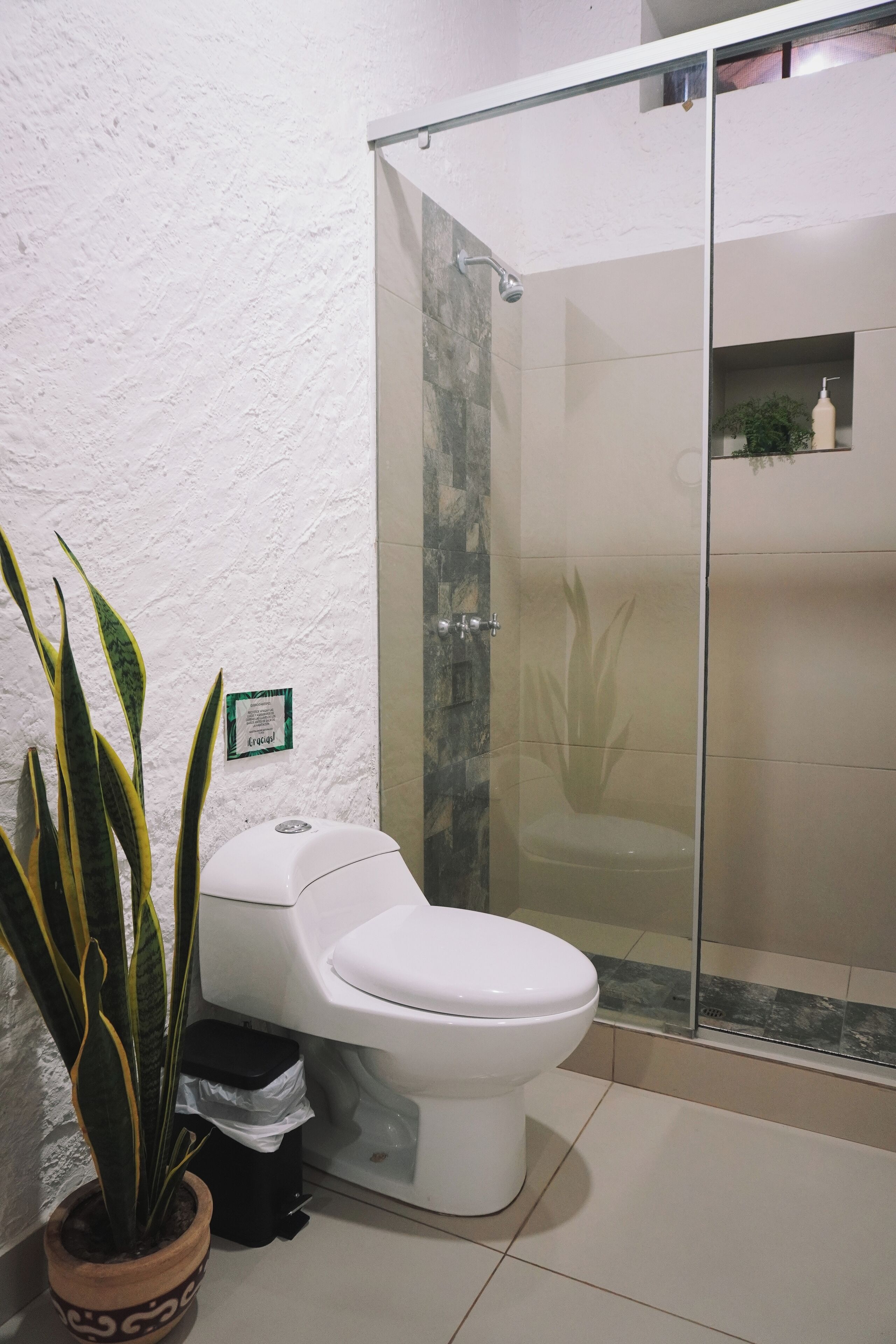 Une salle de bain avec des toilettes, une douche en verre et une plante en pot.