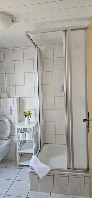 Shower, hair dryer, towels