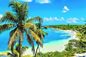 A tropical beach with clear blue waters, palm trees, and a sandy shore.
