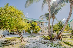 Property grounds - Island studio centrally located with balcony, hammock, & grill (Caye Caulker)